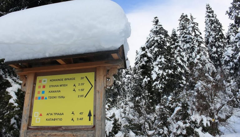 Τα Πέτρινα της Ελάτης