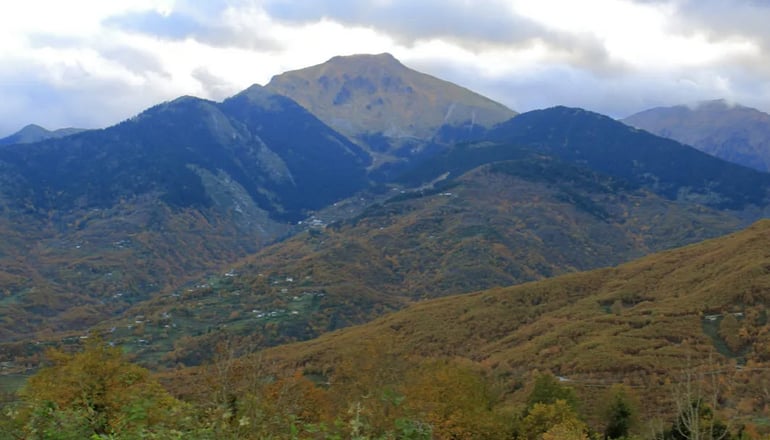 Τα Πέτρινα της Ελάτης