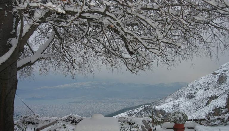 Αρχοντικό Σταφυλοπάτη