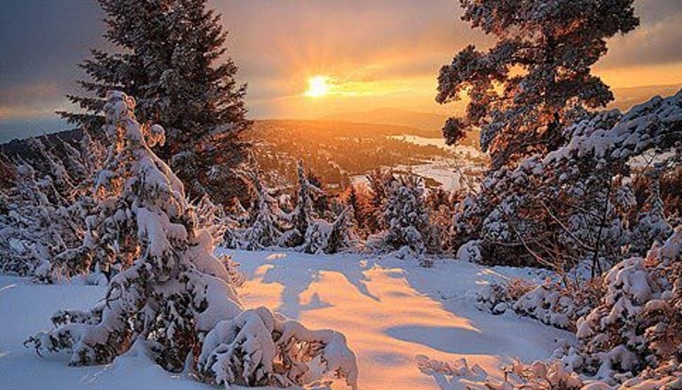 Καταφύγιο Σέλι