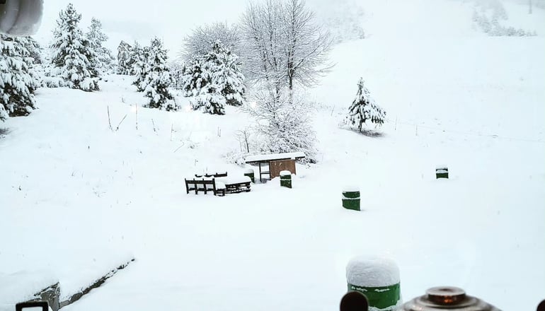 Καταφύγιο Σέλι