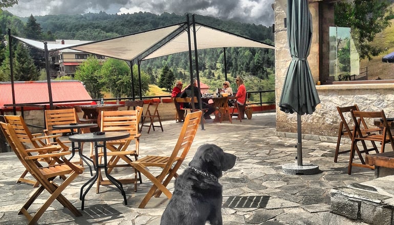 Καταφύγιο Σέλι