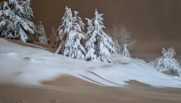 Καταφύγιο Σέλι