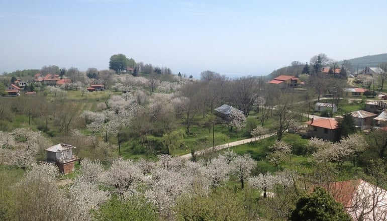 Αρχοντικό Αγκωνάρι
