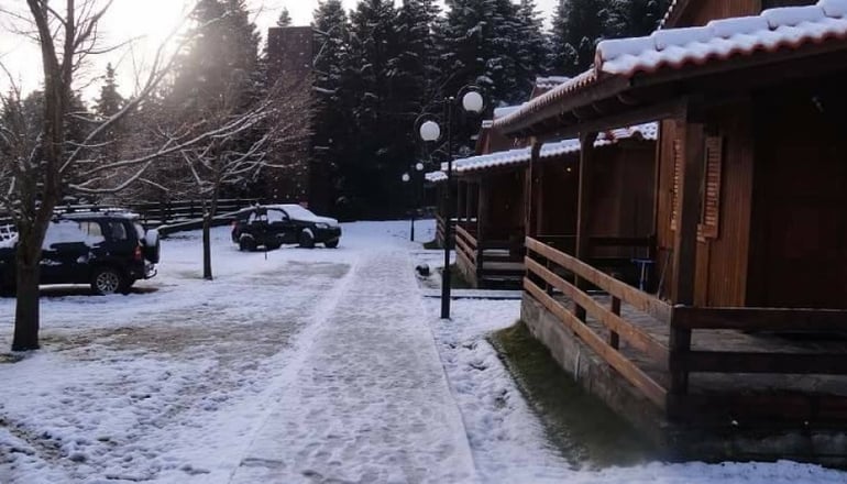 Δασικό Χωριό 