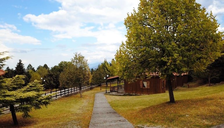 Δασικό Χωριό 