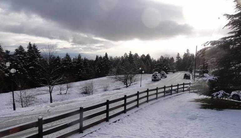 Δασικό Χωριό 