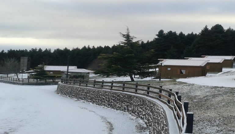 Δασικό Χωριό 