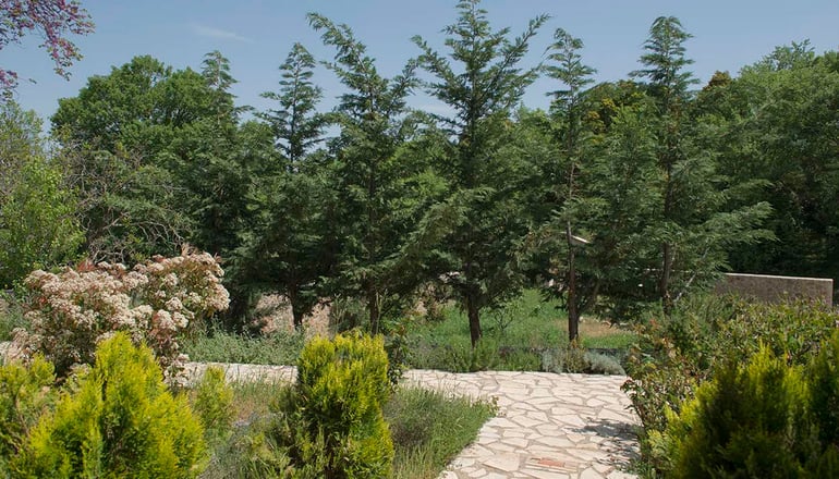 Τρικάλων Μούσες Art Suite