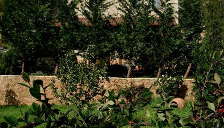 Τρικάλων Μούσες Art Suite