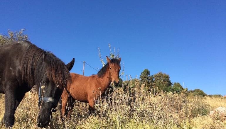 Υάδες Mountain Resort