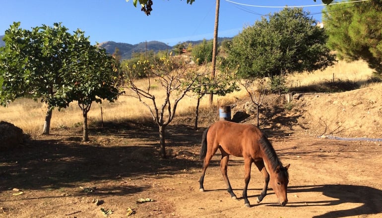 Υάδες Mountain Resort