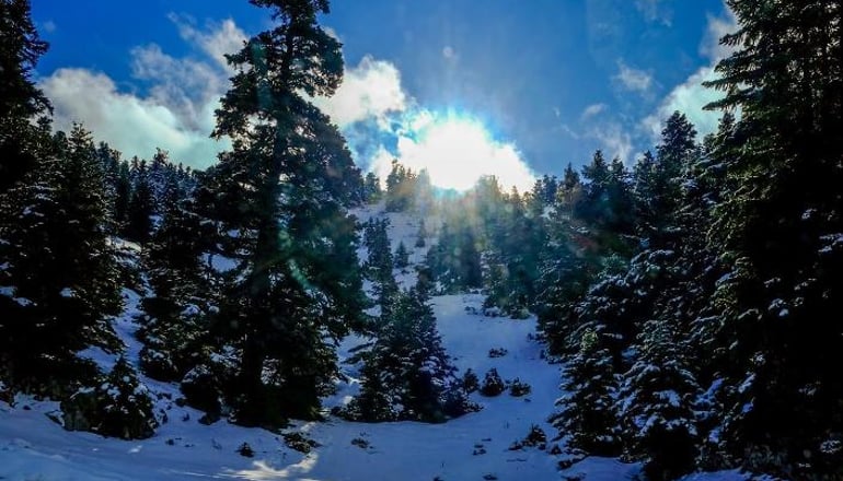 Ξενώνας Κυριακή & Αμφίκλεια Suites - Αμφίκλεια, Παρνασσός