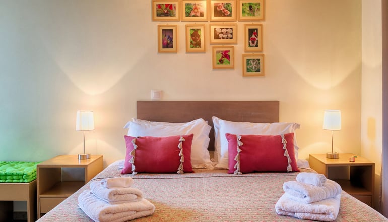 Aegina bed and culture