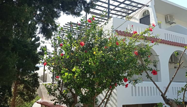 Afroditi Plakias Hotel - Πλακιάς, Ρέθυμνο