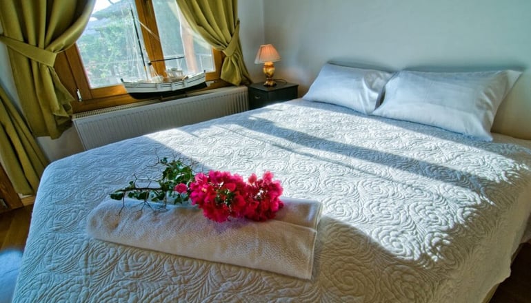 Alkifron Hotel - Καλά Νερά, Πήλιο