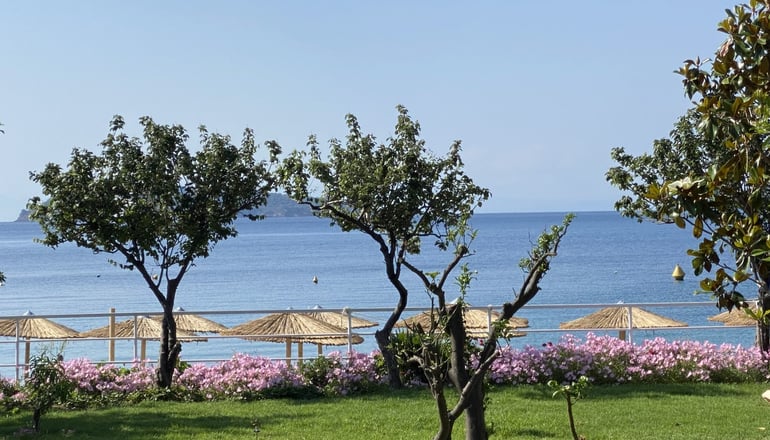 Ammos Luxury Apartments - Μεγάλη Άμμος, Σκιάθος