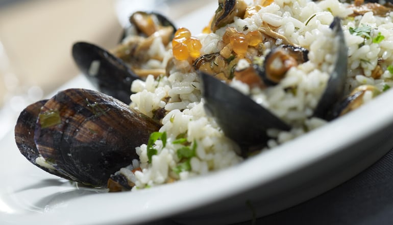 Anatolia Hotel Komotini