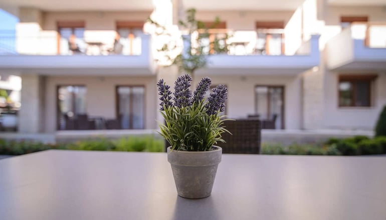 Apanemia by Flegra Hotels