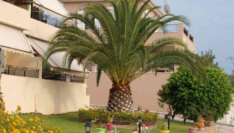 Aristotelis Apartments