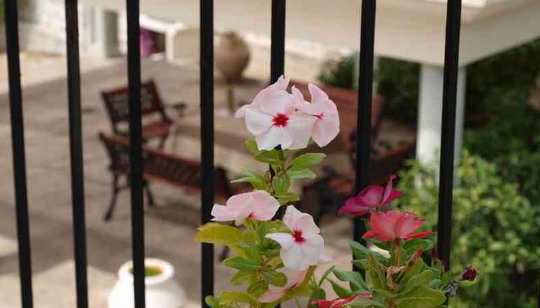 Aristotelis Apartments