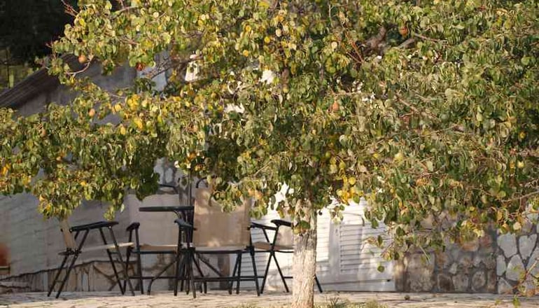 Aristotelis Apartments