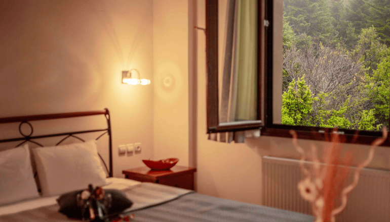 Baldeneige Guesthouse - Πράμαντα, Τζουμέρκα