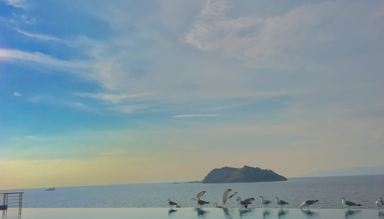 Birds Bay - Πέτρα, Λέσβος