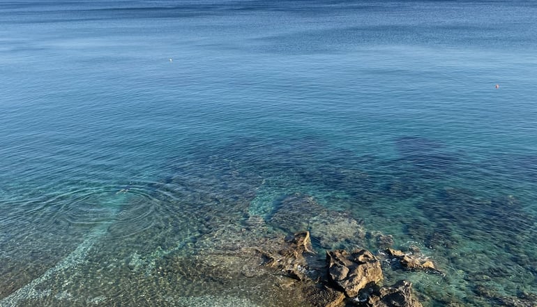 Birds Bay - Πέτρα, Λέσβος
