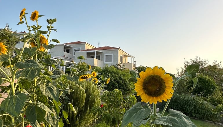 Birds Bay - Πέτρα, Λέσβος