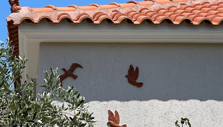 Birds Bay - Πέτρα, Λέσβος