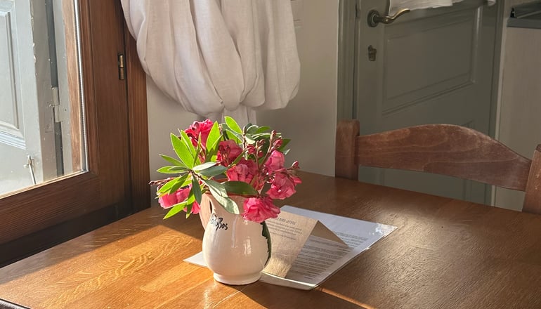 Birds Bay - Πέτρα, Λέσβος