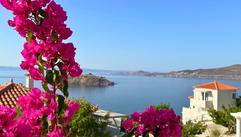 Birds Bay - Πέτρα, Λέσβος