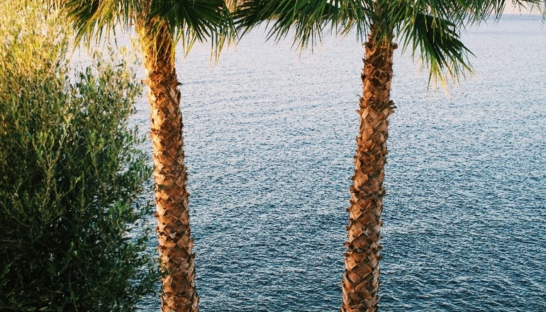 Birds Bay - Πέτρα, Λέσβος