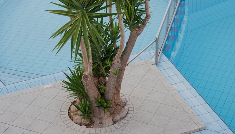 Blue Sky Hotel - Χανιά, Κρήτη