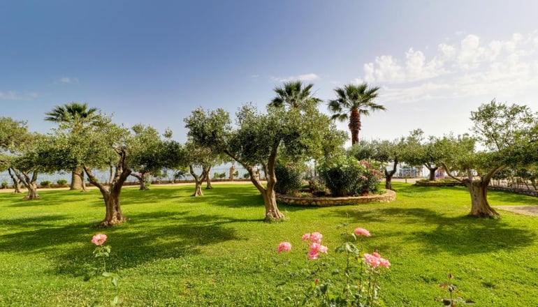 Calamos Beach Family Club Hotel  - Κάλαμος