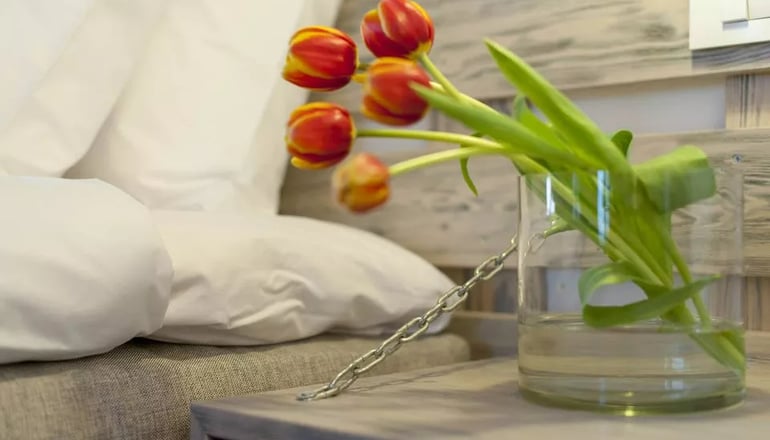 Caldera's Dolphin Suites