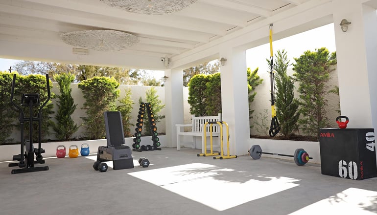 Caldera's Dolphin Suites