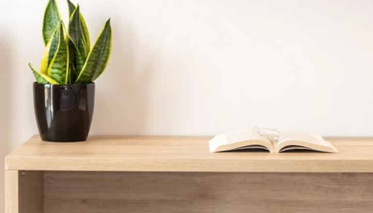 Calives Premium Stay - Καλύβες Πολυγύρου, Χαλκιδική