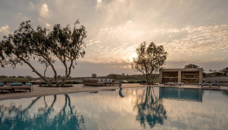 Cellaria Estate Exclusive