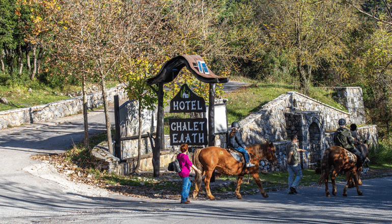 Chalet Elati - Ελάτη Αρκαδίας