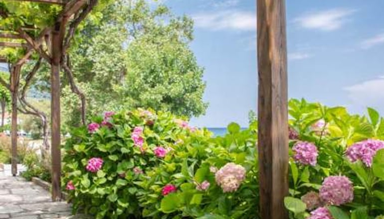 Cleopatra Hotel - Χορευτό, Πήλιο