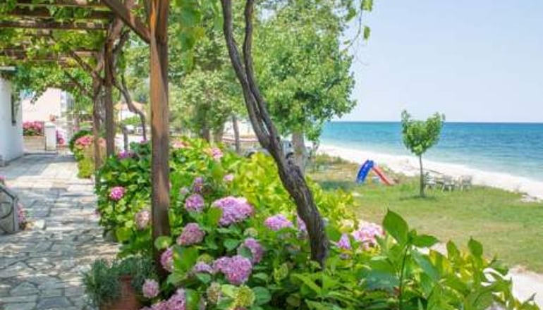 Cleopatra Hotel - Χορευτό, Πήλιο