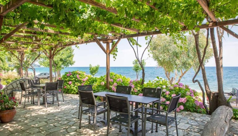 Cleopatra Hotel - Χορευτό, Πήλιο