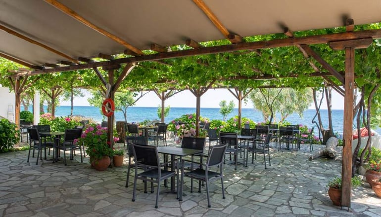 Cleopatra Hotel - Χορευτό, Πήλιο