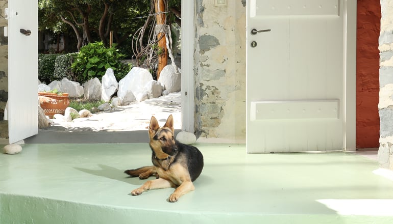 Damma Mia - Νταμούχαρη, Πήλιο