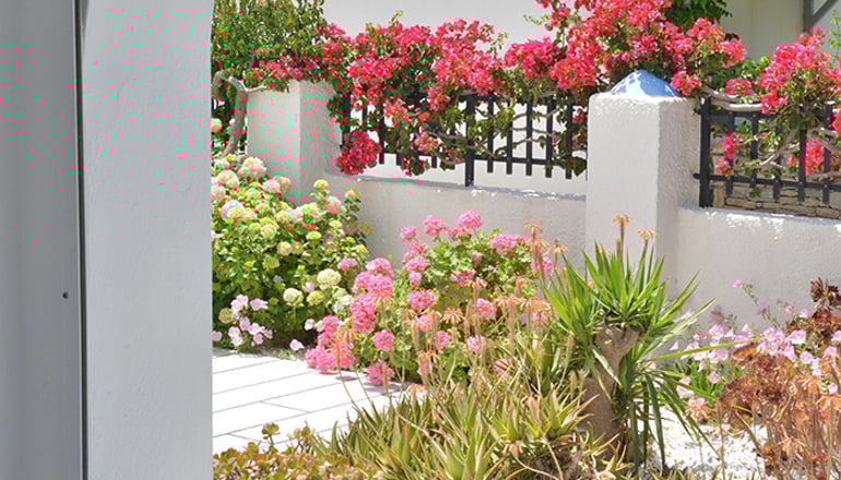 Dedalos Studios - Χώρα, Νάξος