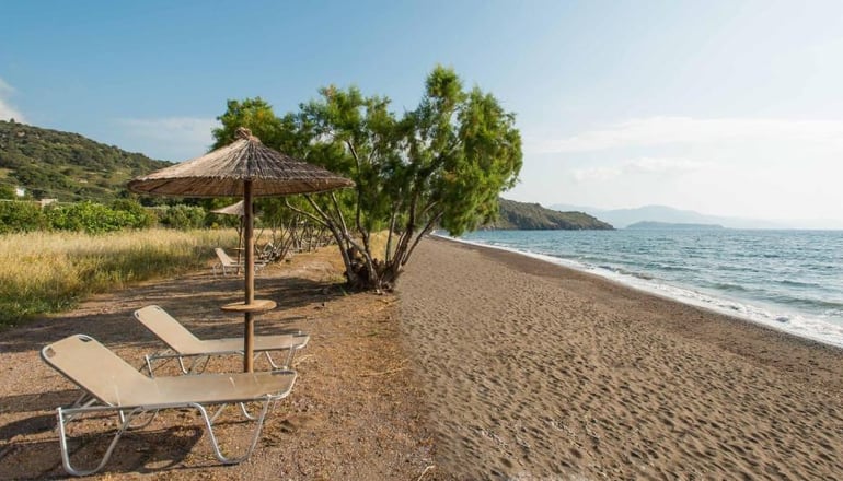 Delfinia Hotel & Bungalows