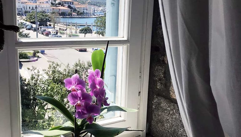 Dionysos Hotel - Πόρος