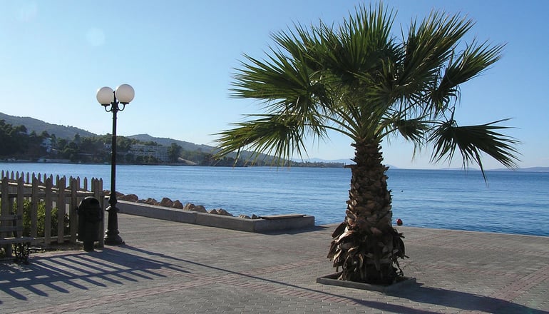 Dolphin Resort Hotel & Conference - Κάλαμος